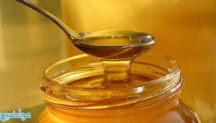 أسعار عسل النحل الطبيعي