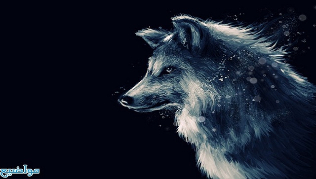 تفسير حلم رؤية الذئب