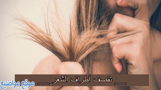 طريقة علاج تقصف الشعر الشديد