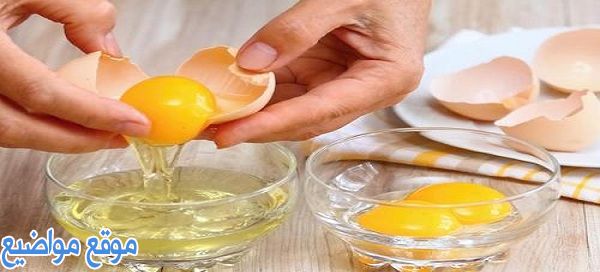 ماسك البيض للوجه الدهني والحبوب