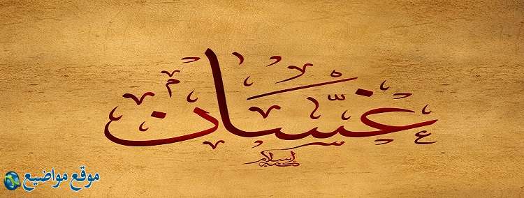 معنى اسم غسان وصفاته ومعنى اسم غسان في القرآن والمنام