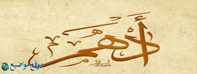 معنى اسم أدهم في القرآن والمنام ومعنى اسم أدهم وصفاته