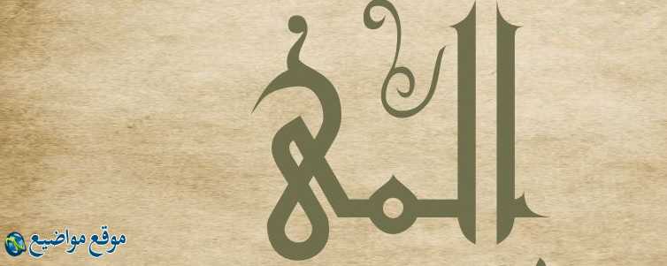 معنى اسم ألمى في الإسلام واللغة معنى اسم ألمى وشخصيتها