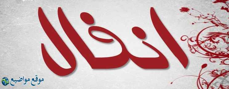 معنى اسم أنفال في القرآن والمنام معنى اسم أنفال وشخصيتها