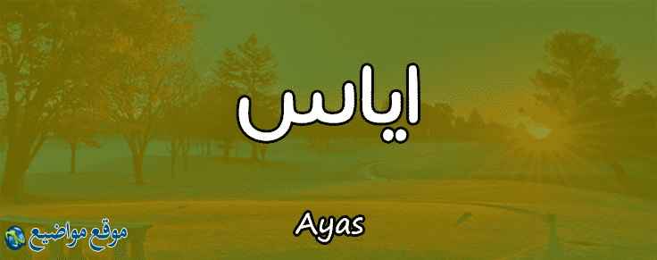 معنى اسم اياس Ayas في القرآن والحلم معنى اسم اياس وشخصيته