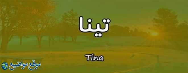 معنى اسم تينا في الإسلام والقرآن معنى اسم نينا وشخصيتها