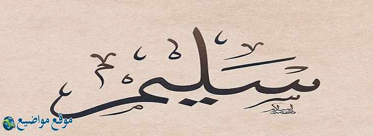 معنى اسم سليم في القرآن والمنام معنى اسم سليم وشخصيته