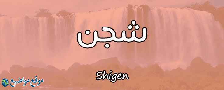 معنى اسم شجن في القرآن والمنام معنى اسم شجن وشخصيتها
