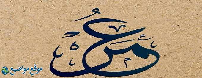 معنى اسم عمر في الإسلام والقرآن واسم عمر في المنام