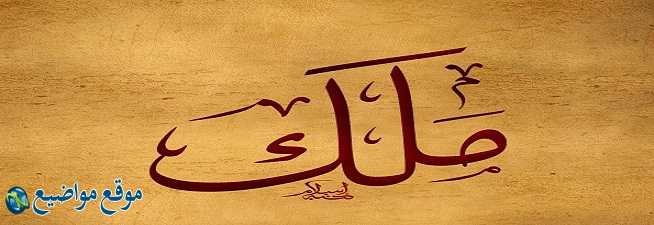 معنى اسم ملك في الإسلام والمنام معنى اسم ملك وشخصيتها