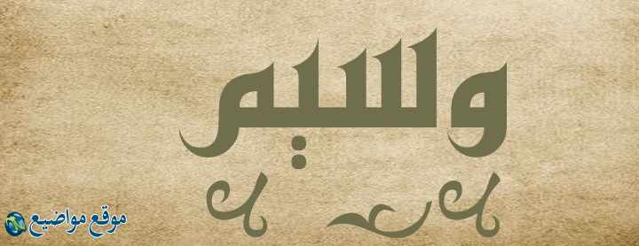 معنى اسم وسيم وصفاته ومعنى اسم وسيم في القرآن واللغة