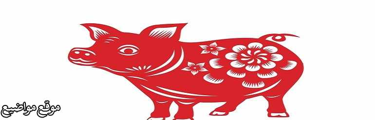 برج الخنزير الصيني وبرج الخنزير الصيني والحب وصفاته